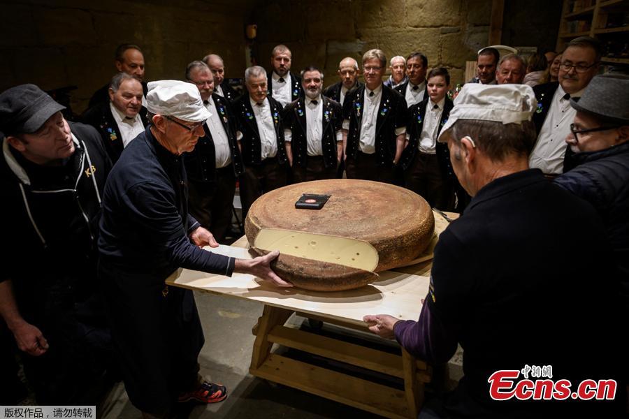 A giant round of Emmental cheese is cut in front of yodelers on the final day of an experiment conducted by the University of the Arts on March 14, 2019 in Berthoud, in the Emmental region, central Switzerland. Beat Wampfler, a Swiss veterinarian by day, but consumate apron-wearing cheese enthusiast at night, has embarked on an experiment to test the impact of music on Emmental. Since last September, the cheeses have each been blasted with sonic masterpieces from the likes of rock gods Led Zeppelin or hip-hop legends A Tribe Called Quest to techno beats, ambient choirs and Mozart\'s classic Magic Flute. A jury of expert tasted the cheeses on March 14, 2019 and the tasty winner the cheese matured with the hip-hop album. (Photo/Agencies)