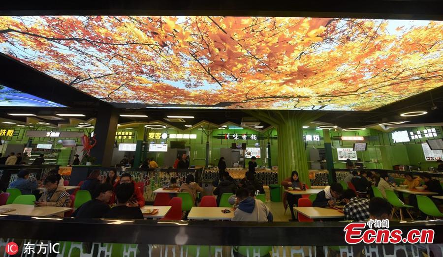 Beautiful natural scenes are projected onto large screens hung on the roof of a dining hall at Zhejiang Agriculture & Forestry University in Hangzhou City, East China’s Zhejiang Province, March 17, 2019. (Photo/IC)