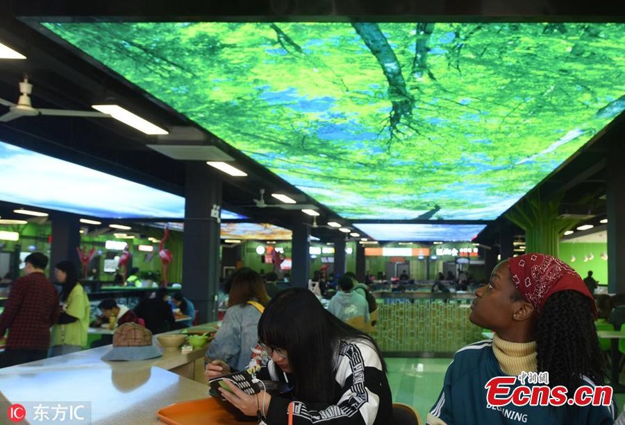 Beautiful natural scenes are projected onto large screens hung on the roof of a dining hall at Zhejiang Agriculture & Forestry University in Hangzhou City, East China’s Zhejiang Province, March 17, 2019. (Photo/IC)