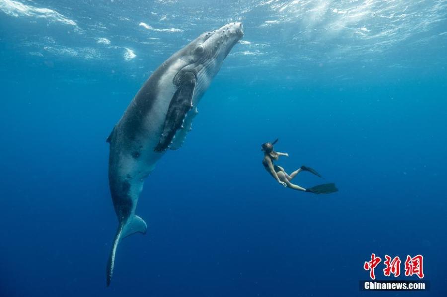 Karim Iliya from the United States took the second place in the \'General - Colour Category\' with this photo. (Photo/VCG)
