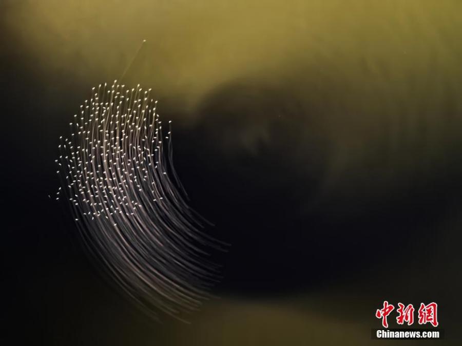 Kuwaiti photographer Abdullah Alshatti finished in third place in the \'General - Colour Category\' with this photo. (Photo/VCG)