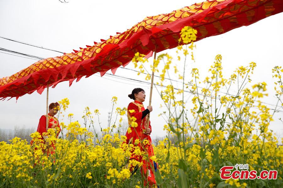 A dragon dancing team performes in a cole flower field in Hanzhong City, northwest China\'s Shaanxi Province, March 22, 2019. Cole flowers are in full bloom in Hanzhong recently. (Photo: China News Service/Liu Guanguan)