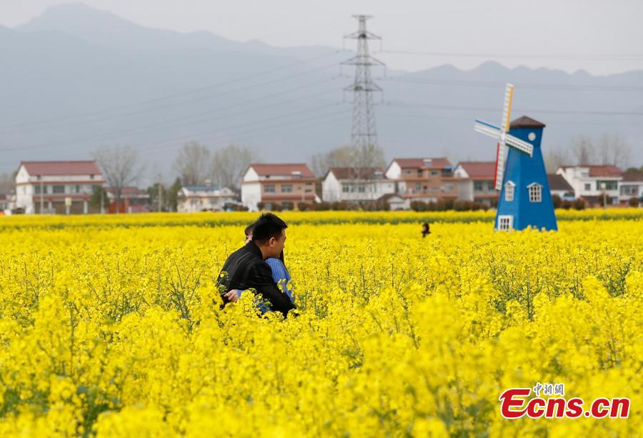People play in a cole flower field in Hanzhong City, northwest China\'s Shaanxi Province, March 22, 2019. Cole flowers are in full bloom in Hanzhong recently. (Photo: China News Service/Liu Guanguan)