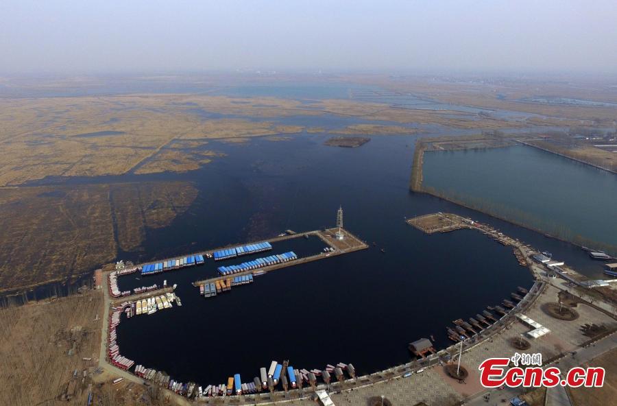 An aerial view of Baiyangdian Lake in Anxin County, Xiongan New Area, Hebei Province, March 27, 2019. In April 2017, China announced the establishment of the Xiongan New Area, spanning three counties in Hebei Province about 100 km southwest of Beijing. Many of Beijing\'s non-capital functions, as well as some of its population, will be relocated to Xiongan. (Photo: China News Service/Han Bing)