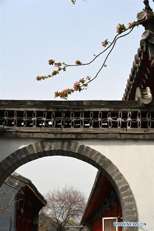 Photo taken on March 28, 2019 shows blooming flowers in the Palace Museum in Beijing, capital of China. (Xinhua/Jin Liangkuai)