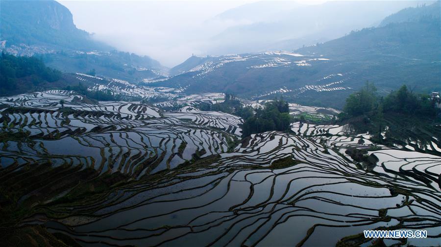 Aerial photo taken on April 3, 2019 shows Hani terraced fields in Yuanyang County, southwest China\'s Yunnan Province. (Xinhua/Hu Chao)