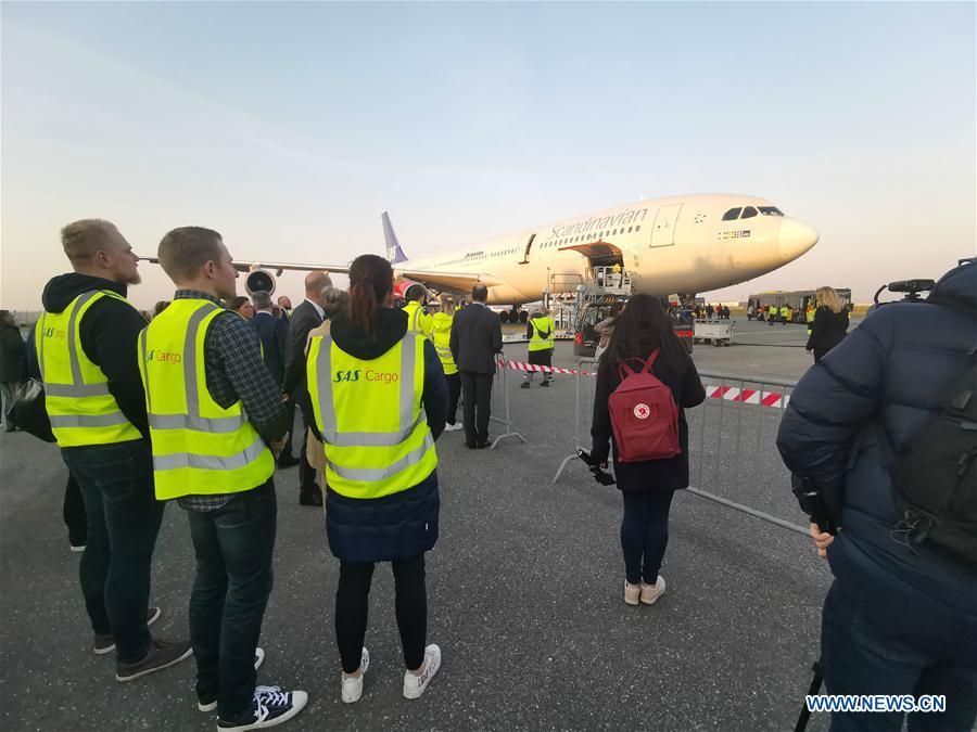 Staff members wait to receive Xing Er and Mao Er, two giant pandas from China, at Kastrup airport in Copenhagen, Denmark, on April 4, 2019. After arriving in Copenhagen on Thursday, the pair of giant pandas Xing Er, a 5-year-old male, and Mao Er, a 4-year-old female, will head to their new home in Copenhagen Zoo for collaborative research. They will live in Denmark for 15 years, according to the agreement signed between the Chinese Association of Zoological Gardens and the zoo in 2017. (Xinhua/Li Pengfei)