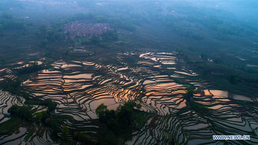 Aerial photo taken on April 3, 2019 shows Hani terraced fields in Yuanyang County, southwest China\'s Yunnan Province. (Xinhua/Hu Chao)