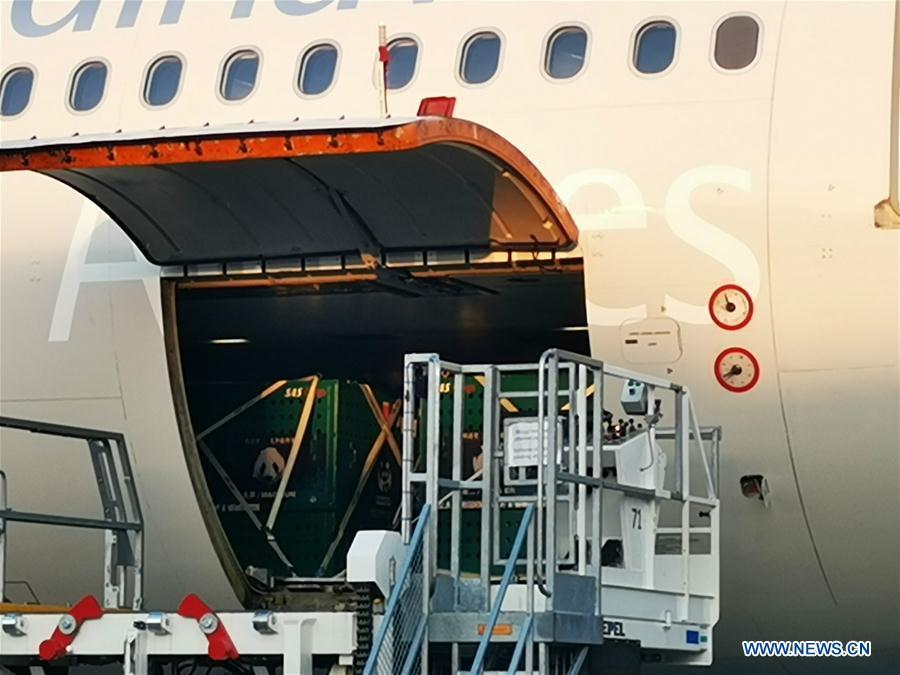 Xing Er and Mao Er, two giant pandas from China, are unloaded from a cargo plane at Kastrup airport in Copenhagen, Denmark, on April 4, 2019. After arriving in Copenhagen on Thursday, the pair of giant pandas Xing Er, a 5-year-old male, and Mao Er, a 4-year-old female, will head to their new home in Copenhagen Zoo for collaborative research. They will live in Denmark for 15 years, according to the agreement signed between the Chinese Association of Zoological Gardens and the zoo in 2017. (Xinhua/Li Pengfei)