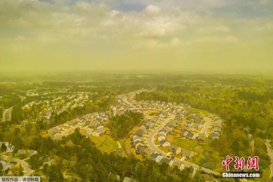 Stunning photo shows a thick haze of yellow pine pollen hanging over Raleigh, North Carolina, April 8, 2019. (Photo/Agencies)