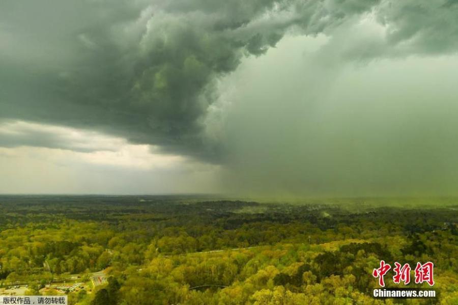 A cloud of light yellow pollen can be seen drifting out of a wooded area near Durham, North Carolina, April 8, 2019. (Photo/Agencies)