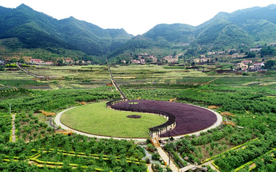 A bird\'s eye view of the plantation in the shape of the traditional Chinese Eight Diagrams. (Photo provided to chinadaily.com.cn)

A plantation in Pipa village of Renhuai city, Southwest China\'s Guizhou Province, has attracted millions of tourists with its unique landscape design based on the traditional Chinese pattern of Eight Diagrams.

Covering an area of more than 21 hectares, the plantation contains 81 types of flowers and plants, offering tourists an opportunity to be immersed in flora all year around. The carefully curated agricultural tourist site, combining sightseeing with recreational facilities, has also made the plantation more than a spot to take pictures, providing a resort to spend the day at as well.