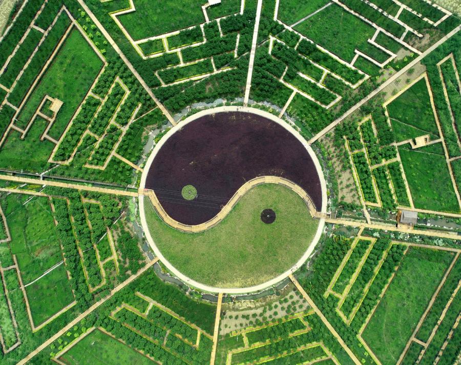 A bird\'s eye view of the Eight Diagrams plantation. (Photo provided to chinadaily.com.cn)