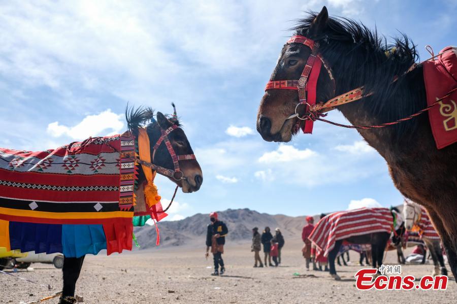 A horse race in Qianggu Village in Ngari Prefecture, Southwest China\'s Tibet Autonomous Region, April 9, 2019. The per capita income of the village reached 14,000 yuan ($2,086) in 2017 and locals all live above the poverty line. (Photo: China News Service/He Penglei)
