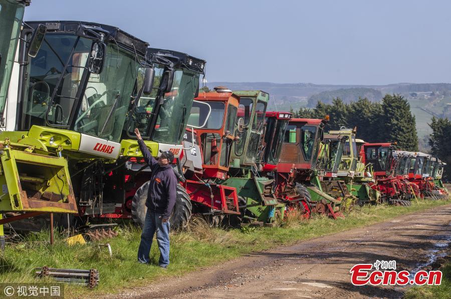 Richard Manners, parts specialist looks over some of the combines. 350 dead combines sit in a field, are broken for parts and exported around the world in a container, where they are welded back together on arrival. April 6 2019.  (Photo/VCG)