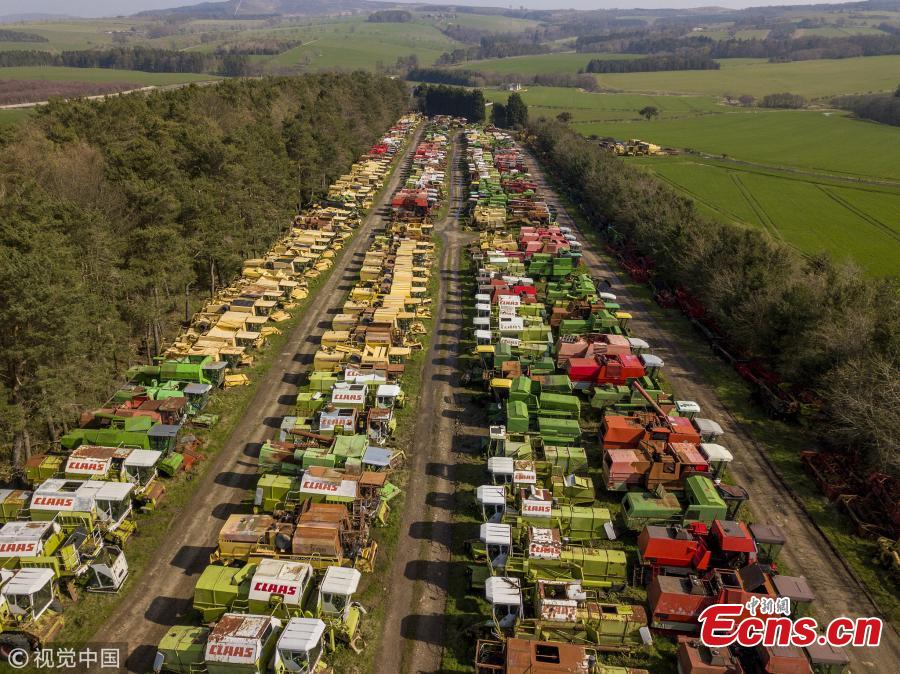 350 dead combines sit in a field, are broken for parts and exported around the world in a container, where they are welded back together on arrival. April 6 2019. (Photo/VCG)