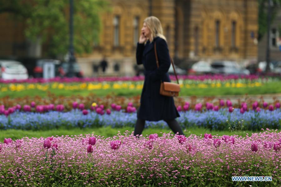 Photo taken on April 10, 2019 shows a woman walking among flowers in downtown Zagreb, capital of Croatia. (Xinhua/Zheng Huansong)