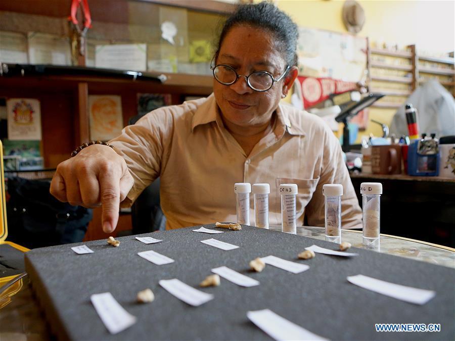 Filipino archeologist Armand Mijares shows the set of fossils of a newly discovered human species called Homo luzonensis at the University of the Philippines in Quezon City, the Philippines, April 11, 2019. Found in Callao Cave on Luzon Island, the 50,000-year-old remains belong to a now extinct species of human. (Xinhua/Rouelle Umali)