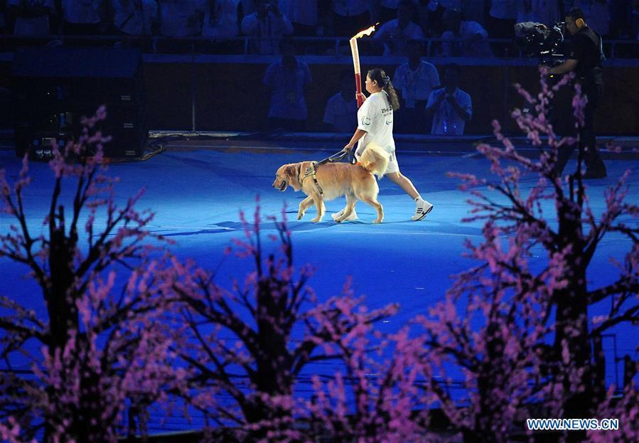 File photo taken on Sept. 6, 2008 shows Torchbearer Ping Yali, the first Chinese Paralympic gold medalist in 1984, relays with a guide dog during the opening ceremony of the Beijing 2008 Paralympic Games in the National Stadium in Beijing, China. From sending athletes to Helsinki Summer Olympic Games for the very first time in 1952 to winning the bid to host 2022 Winter Olympic Games in 2015, the People\'s Republic of China went through a remarkable history of sports, including successfully hosting the 2008 Summer Olympic Games and preparing for the upcoming 2022 Winter Olympic Games. (Xinhua/Wang Song)