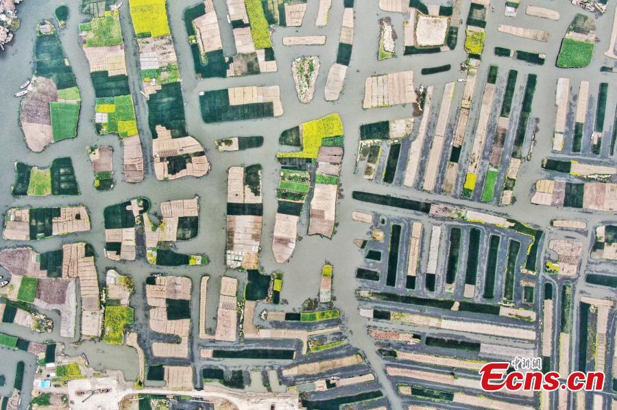 An aerial view of colorful fields crisscrossed by water in a rural area in Xinghua City, East China\'s Jiangsu Province, April 10, 2019. Locals have a tradition of digging mud from trenches or small rivers to form small plots of land. (Photo: China News Service/Yang Bo)