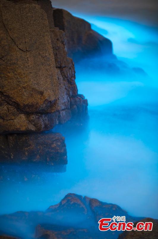 Image taken on April 14, 2019 shows a striking blue algae bloom near Changle Airport in Fuzhou City, Fujian Province. The fluorescent blue glow is natural, powered by a bloom of Noctiluca scintillans, commonly known as \