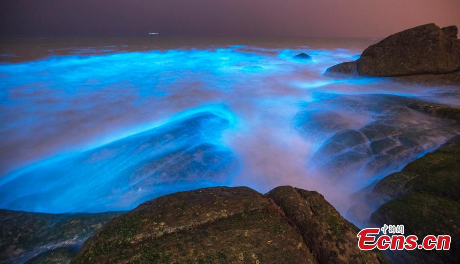 Image taken on April 14, 2019 shows a striking blue algae bloom near Changle Airport in Fuzhou City, Fujian Province. The fluorescent blue glow is natural, powered by a bloom of Noctiluca scintillans, commonly known as \
