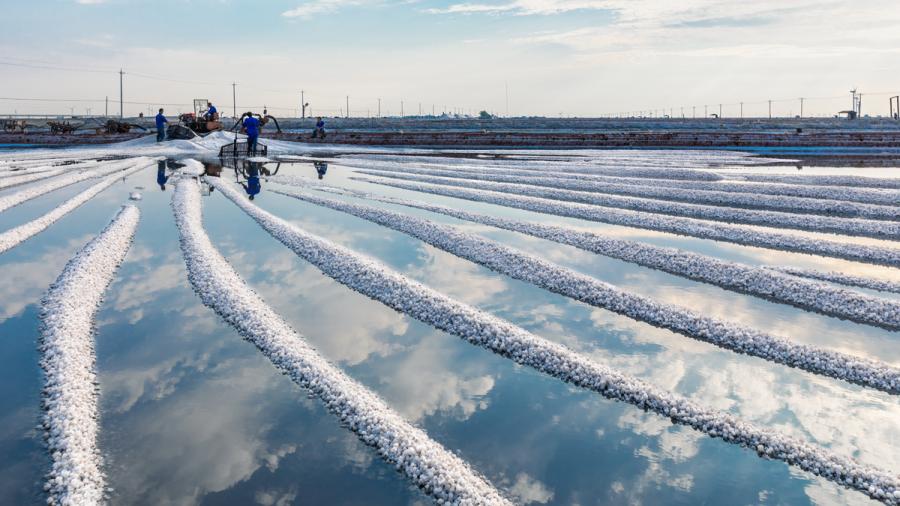 People working at a salt pan. (Photo/Tianjin Municipal Information Office)