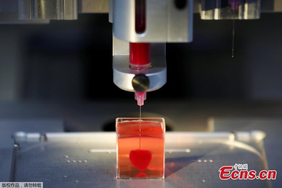 A tiny heart is made in a 3D printer in a process developed by Tel Aviv University scientists.  (Photo/Agencies)