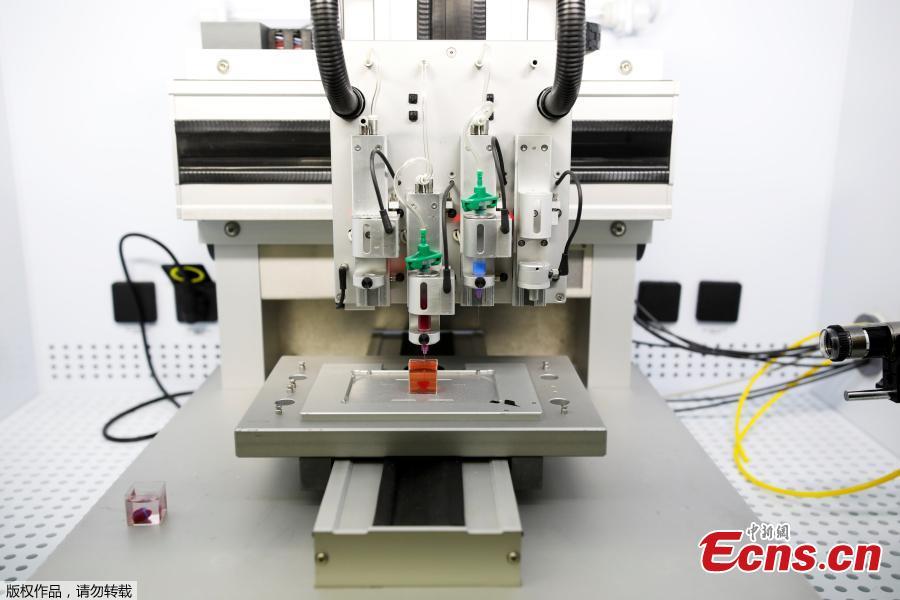 A tiny heart is made in a 3D printer in a process developed by Tel Aviv University scientists.  (Photo/Agencies)