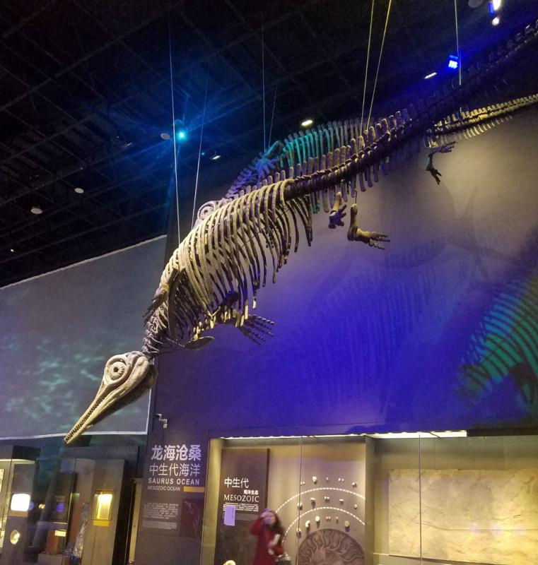 National Maritime Museum of China is expected to be open late this year.  (Photo/chinadaily.com.cn)