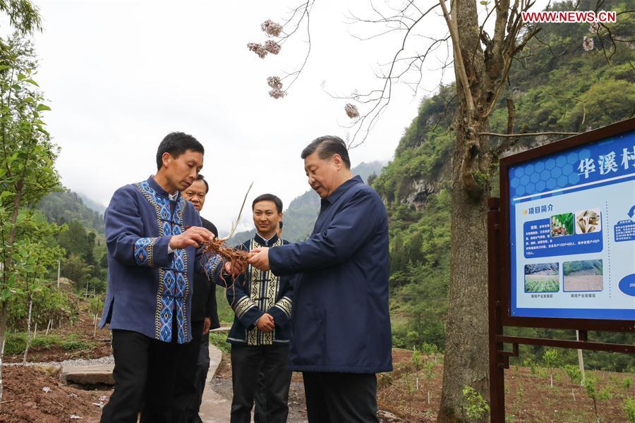 Chinese President Xi Jinping, also general secretary of the Communist Party of China Central Committee and chairman of the Central Military Commission, talks with a villager to learn about the progress of poverty alleviation and in solving prominent problems including meeting the basic need of food and clothing and guaranteeing compulsory education, basic medical care and safe housing, in Huaxi Village of Shizhu Tujia Autonomous County, southwest China\'s Chongqing, April 15, 2019. Xi went on an inspection tour in southwest China\'s Chongqing Municipality Monday. (Xinhua/Ju Peng)