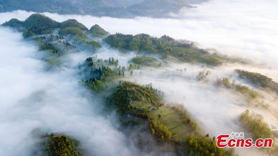 Clouds drape themselves over Xianjin Village in Wuchuan Gelao and Miao Autonomous County, Southwest China\'s Guizhou Province, April 17, 2019. The village, which is surrounded by lush mountains, appears particularly beautiful when viewed from above. (Photo: China News Service/Tian Dong)