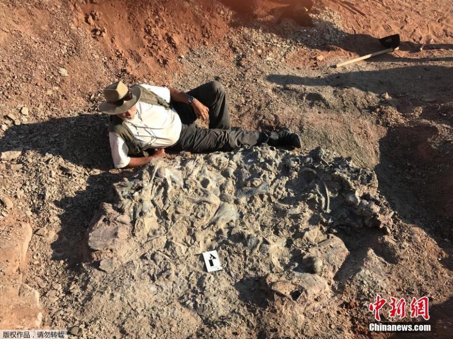 Photo taken on April 10, 2019 shows a 220-million-year-old dinosaur cemetery discovered in western Argentina, with remains of a dozen animals. (Photo/Agencies)