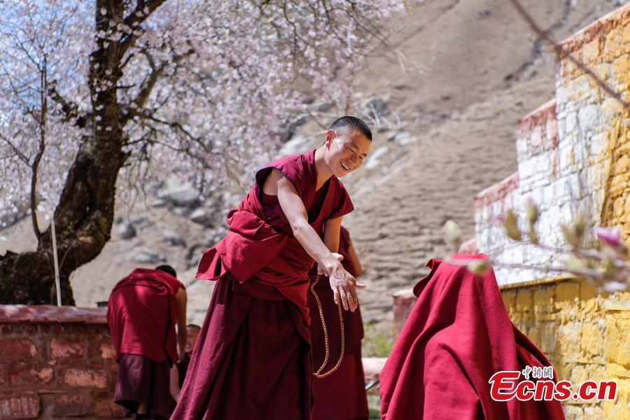 Photo shows scenery of peach blossoms beside the Phabongkha Monastery in northern suburbs of Lhasa, capital city of southwest China\'s Tibet, April 18, 2019. (Photo/China News Serice)