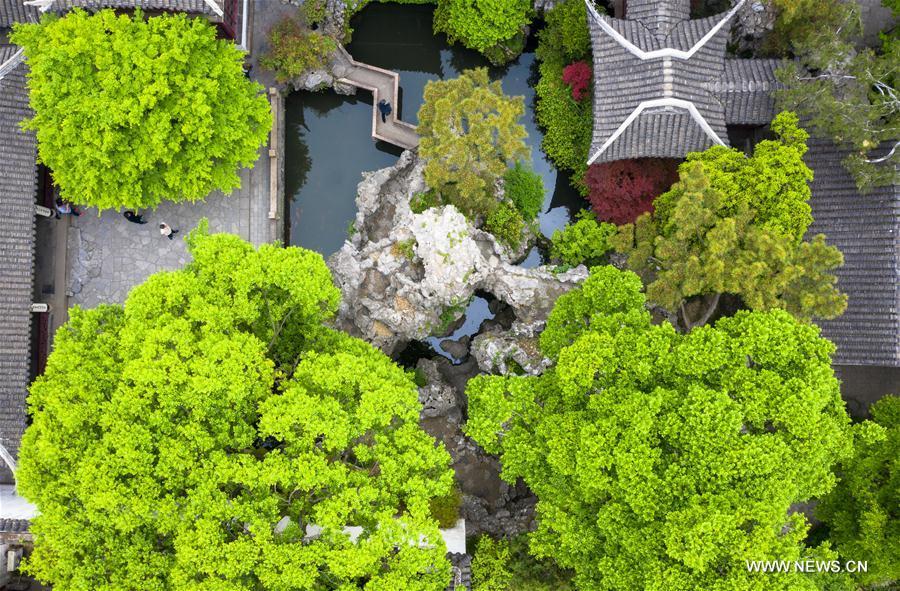 Aerial photo taken on April 19, 2019 shows the scenery of the Mountain Villa with Embracing Beauty in Suzhou, east China\'s Jiangsu Province. Suzhou is home to dozens of famous classical gardens that have inventive and exquisite design and oriental aesthetics. Nowadays more than 60 of them are still in existence, among which the Humble Administrator\'s Garden, Lingering Garden and the Lion Grove Garden are on the UNESCO\'s World Heritage List. (Xinhua/Li Xiang)