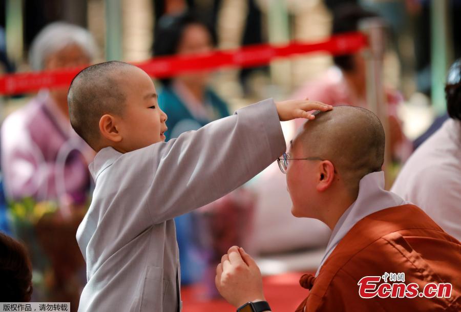 A boy has his hair shaved during the \'Children becoming Buddhist monks\' ceremony at the Jogyesa temple in Seoul, South Korea, April 22, 2019. South Korean Buddhists prepare to celebrate Buddha\'s upcoming birthday on May 12, 2019. (Photo/Agencies)