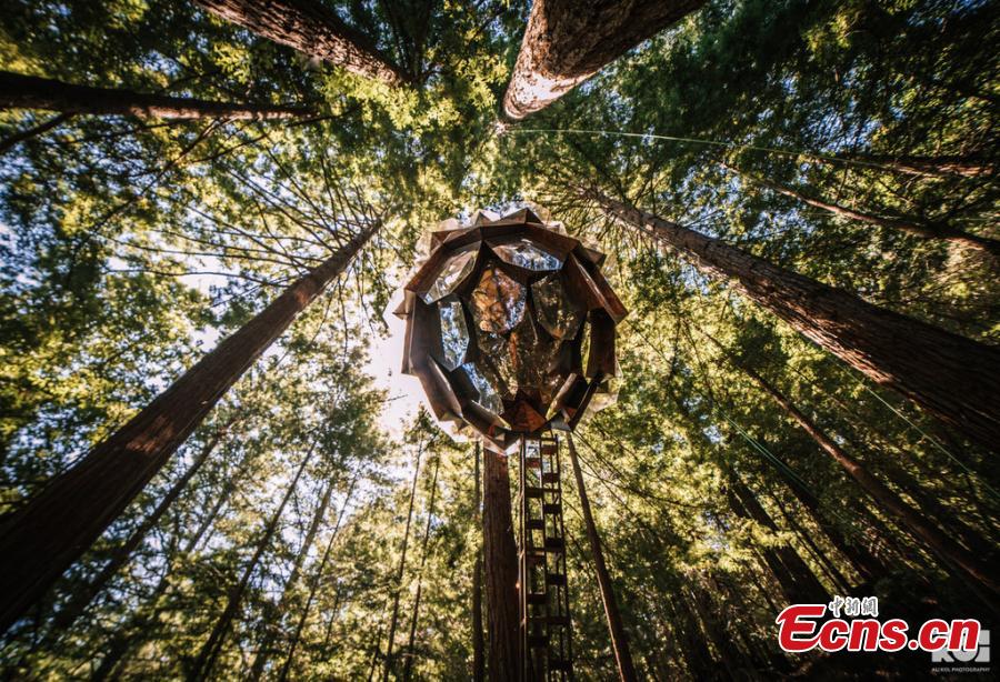 Photo shows the treehouse featuring clear floor panels, and a grand cathedral ceiling that showcases soaring 360 degree views of the surrounding redwood forest. (Photo/IC)

O2Treehouse, a company that built different treehouses, has listed the Pinecone Treehouse in Oakland, California, for sale. The 5.5-ton  geodesic cabin is constructed from steel, wood and glass. The sale price is around $150,000, but that doesn\'t include installation on your own property.