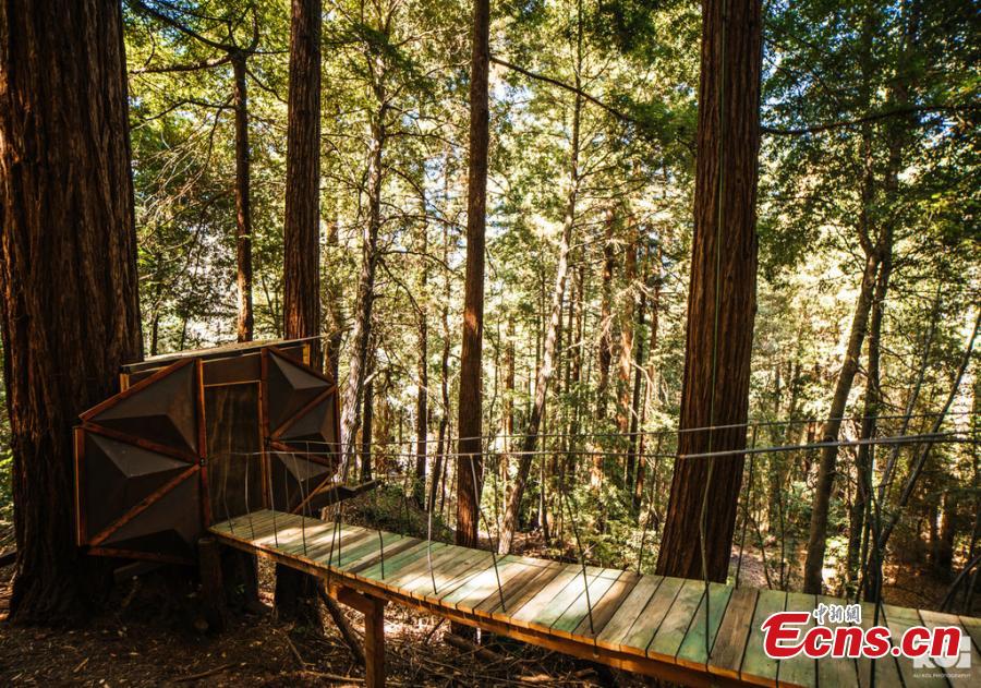 O2Treehouse, a company that built different treehouses, has listed the Pinecone Treehouse in Oakland, California, for sale. The 5.5-ton  geodesic cabin is constructed from steel, wood and glass. The sale price is around $150,000, but that doesn\'t include installation on your own property. (Photo/IC)