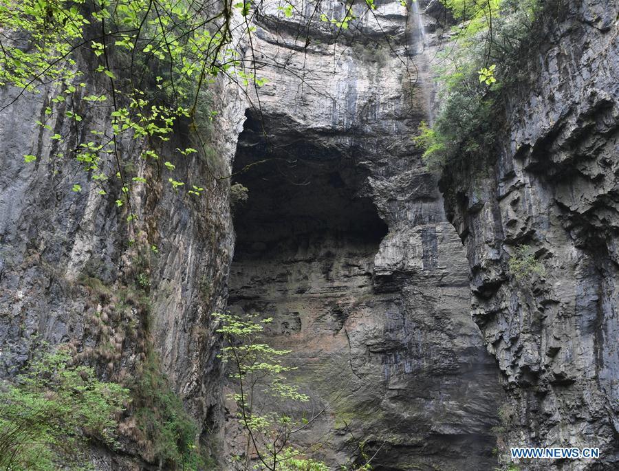 Photo taken on April 22, 2019 shows the crags of Didonghe Tiankeng, a giant karst sinkhole at Huoshizi Village of Ningqiang County in Hanzhong, northwest China\'s Shaanxi Province. With a maximum depth of 340 meters, the Didonghe Tiankeng is the largest in Chanjiayan Tiankeng Group in Ningqiang County. (Xinhua/Zhang Bowen)