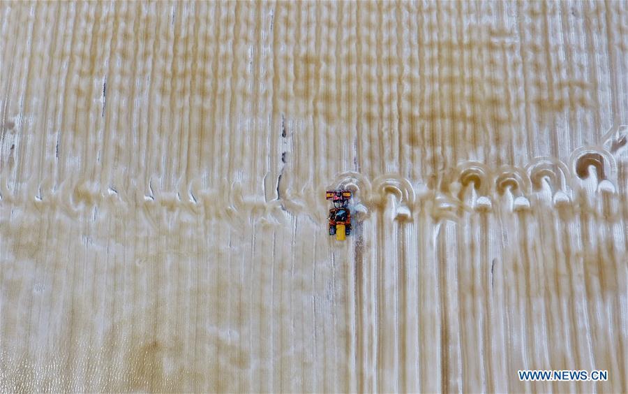 Aerial photo taken on April 22, 2019 shows crude salt is collected at the Daqinghe salt field in Tangshan City, north China\'s Hebei Province. Some 270,000 tons of salt is expected to be produced this spring at the Daqinghe salt field. (Xinhua/Yang Shiyao)