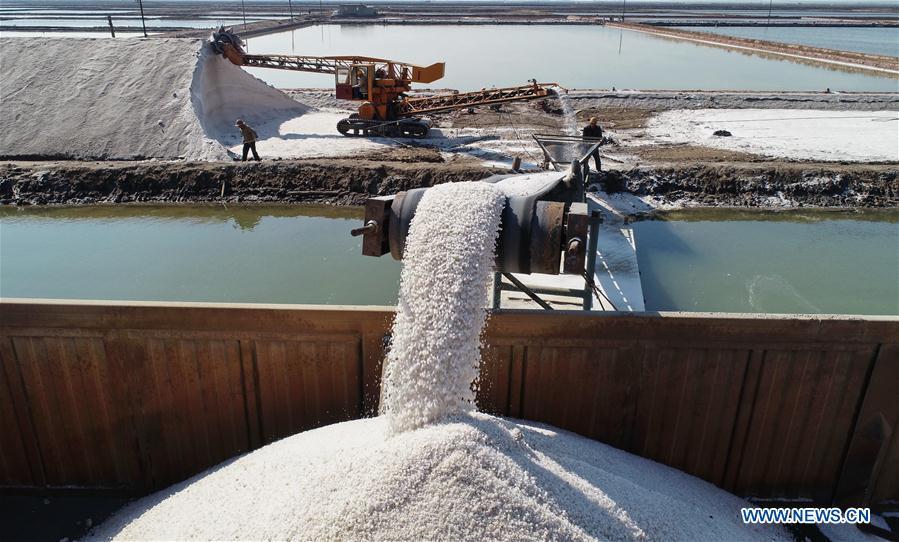 Aerial photo taken on April 22, 2019 shows workers loading crude salt at Daqinghe salt field in Tangshan City, north China\'s Hebei Province. Some 270,000 tons of salt is expected to be produced this spring at the Daqinghe salt field. (Xinhua/Yang Shiyao)