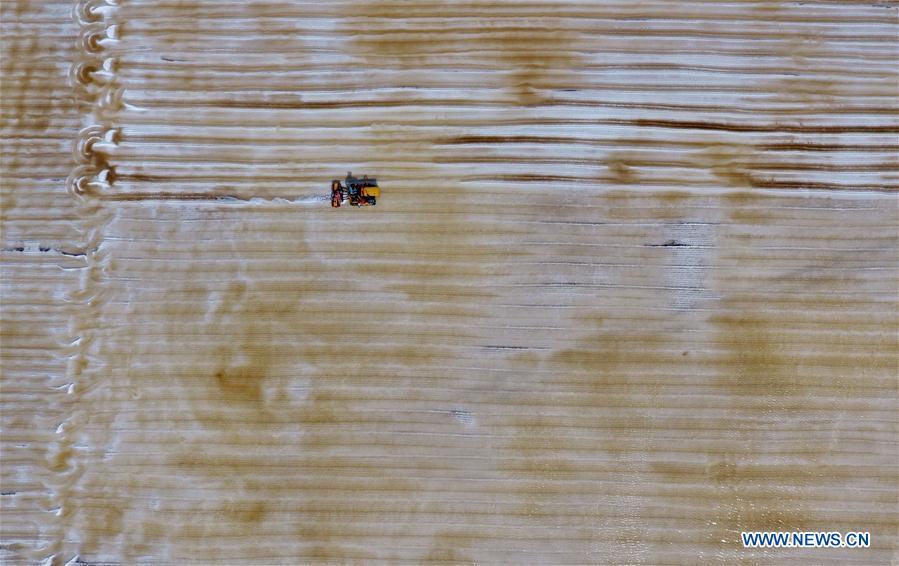 Aerial photo taken on April 22, 2019 shows crude salt is collected at the Daqinghe salt field in Tangshan City, north China\'s Hebei Province. Some 270,000 tons of salt is expected to be produced this spring at the Daqinghe salt field. (Xinhua/Yang Shiyao)