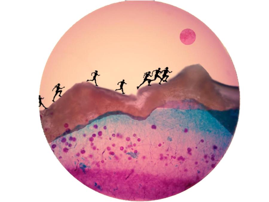 Students at Nanjing Agricultural University\'s College of Plant Protection created artistic pictures using micro photos of pathogens.  (Photos provided to China Daily)