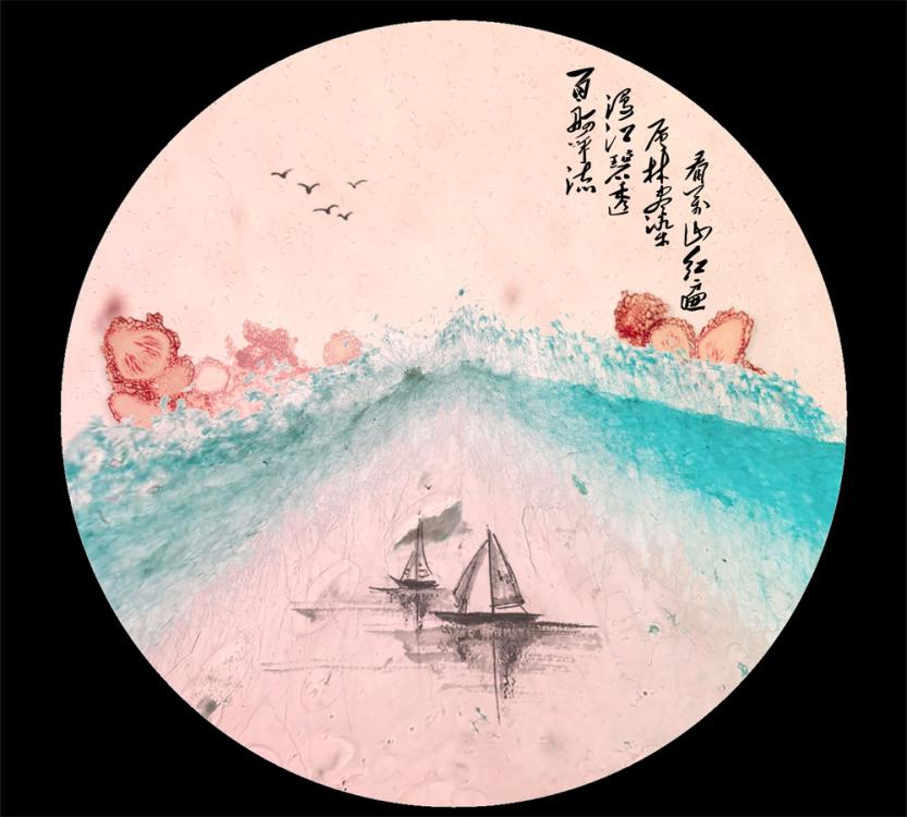 Sailboats glide through the water in this picture created by students at Nanjing Agricultural University\'s College of Plant Protection using micro photographs of pathogens. (Photos provided to China Daily)