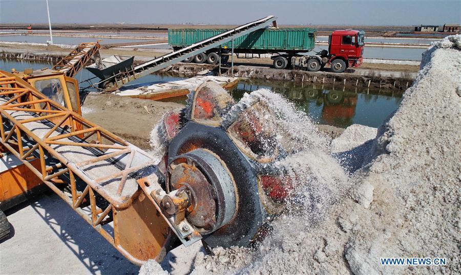 Crude salt is loaded onto a truck at the Daqinghe salt field in Tangshan City, north China\'s Hebei Province, April 22, 2019. Some 270,000 tons of salt is expected to be produced this spring at the Daqinghe salt field. (Xinhua/Yang Shiyao)