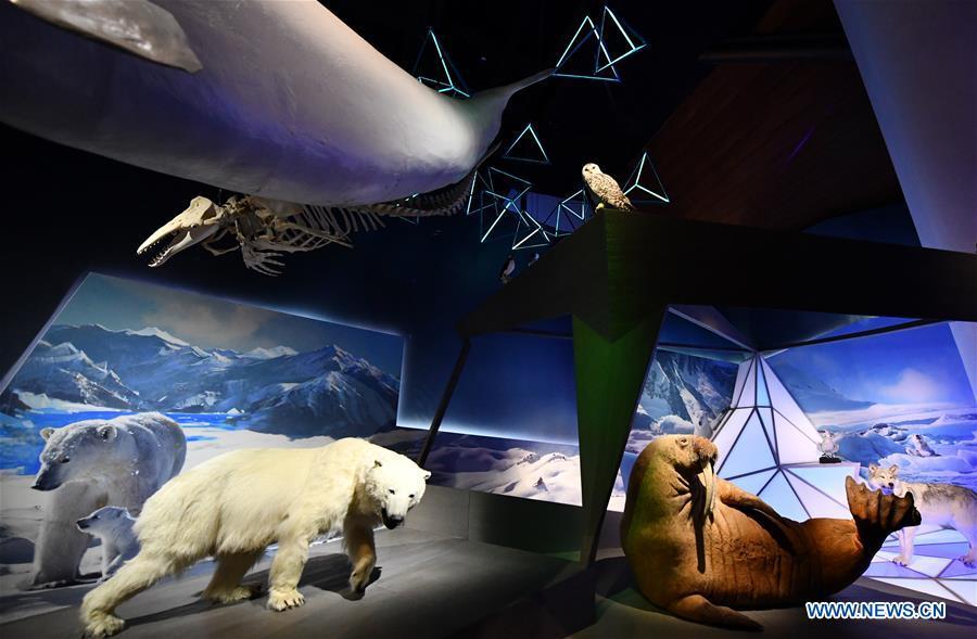 Photo taken on April 25, 2019 shows exhibits at an exhibition hall themed \