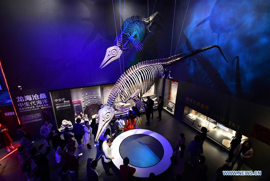 Photo taken on April 25, 2019 shows exhibits of maritime creatures at an exhibition hall themed \