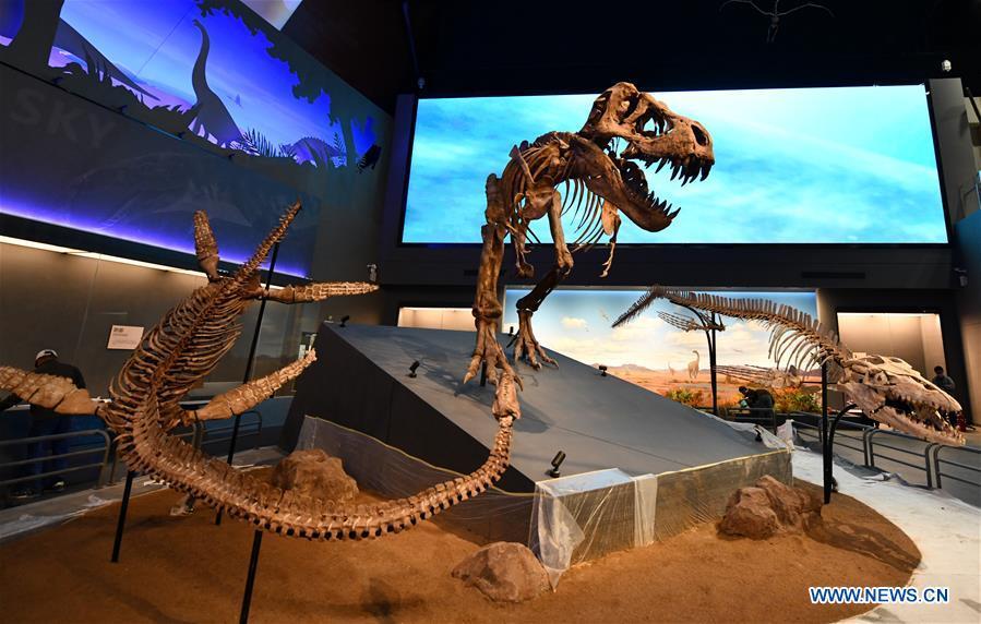 Photo taken on April 25, 2019 shows fossil models at an exhibition hall themed \
