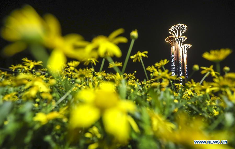 The Olympic Tower is illuminated in Beijing, capital of China, April 26, 2019. Roads and buildings along the central axis were