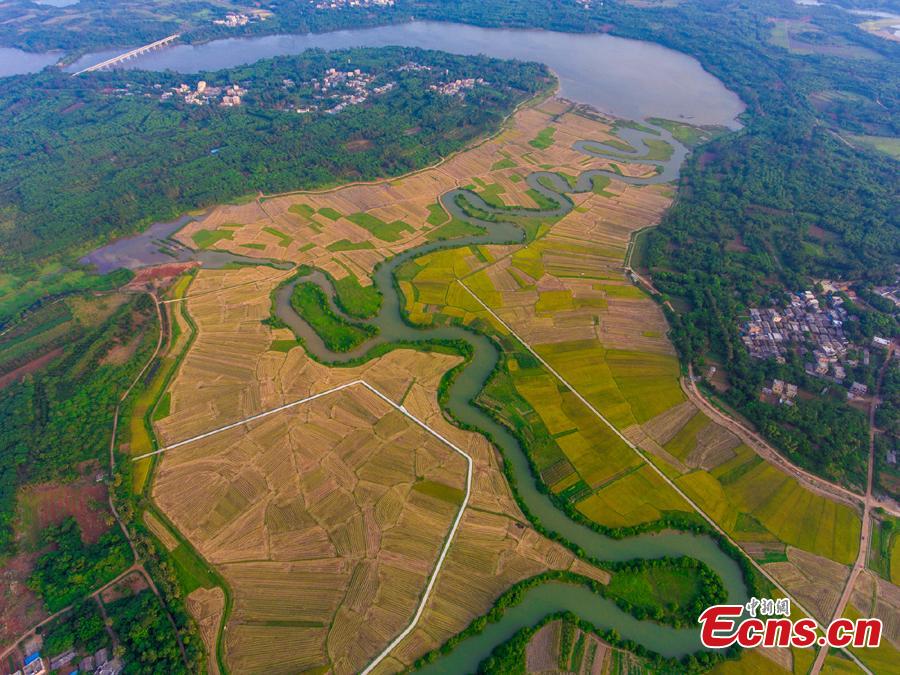 Aerial view shows the Sanshiliuquxi (36-bend stream) wetland in Yunlong Town, Haikou City, Hainan Province, April 28, 2019. Known for its rich flora and fauna as well as river bends, the wetland park will cover an area of 316.7 hectares, according to plans. (Photo: China News Service/Luo Yunfei)